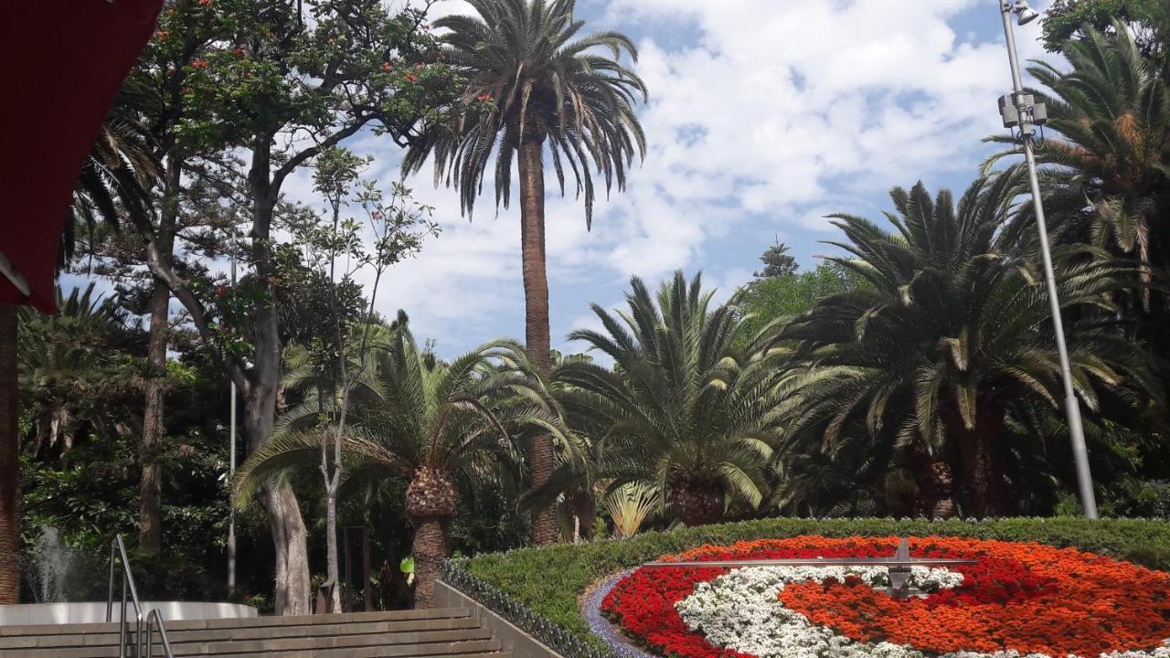 Tenerife Rooms S. C.サンタクルスデテネリフェ エクステリア 写真