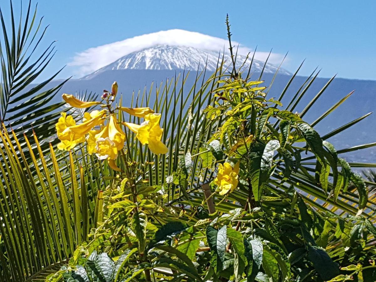 Tenerife Rooms S. C.サンタクルスデテネリフェ エクステリア 写真