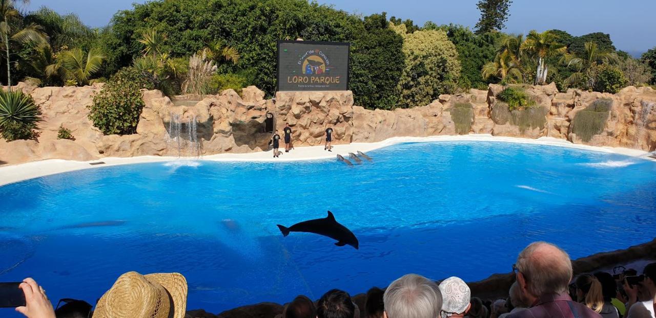 Tenerife Rooms S. C.サンタクルスデテネリフェ エクステリア 写真